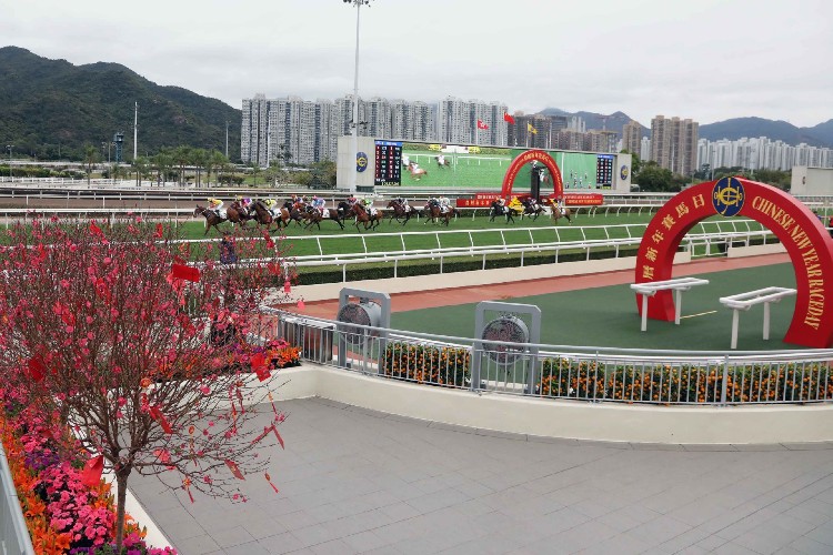 ��ũ�����������ա������֡���������ṩͼ