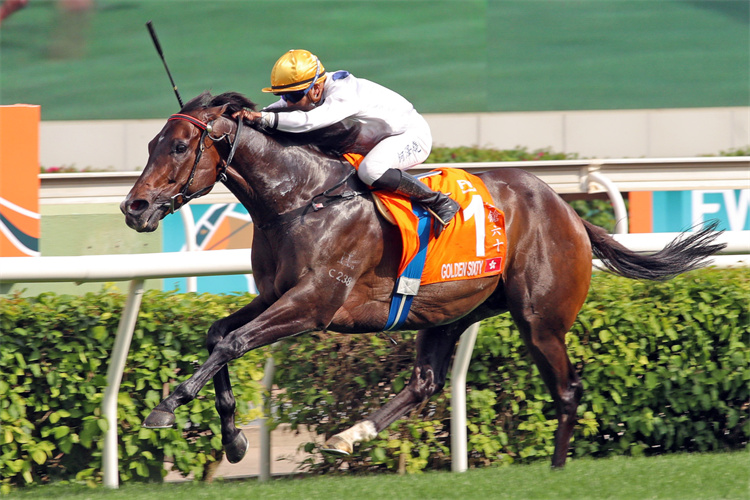 ����ǹ��ʮ���ڱ����С���������ṩͼ