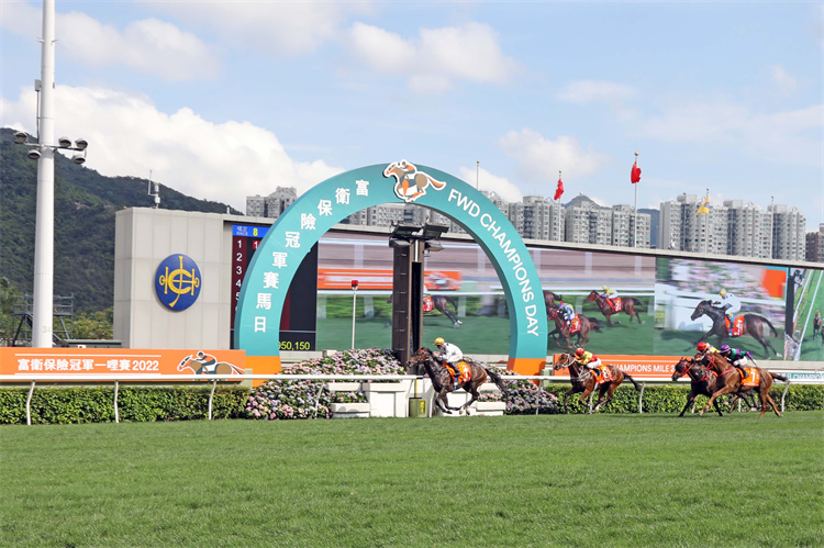 ����ǹ��ʮ����������̬�ɹ����ᡣ��������ṩͼ