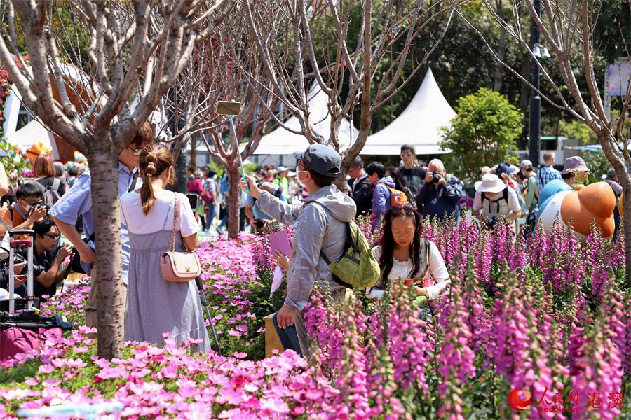 �ֳ����������ο��ڻ������Ĵ򿨡���������