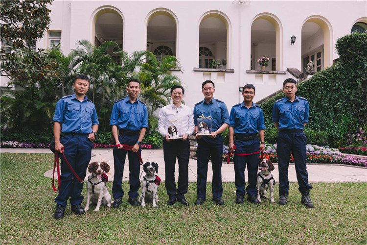 ���������ҳ������롱������������Ѿ�Ȯ����ҳ��罻ƽ̨��ͼ