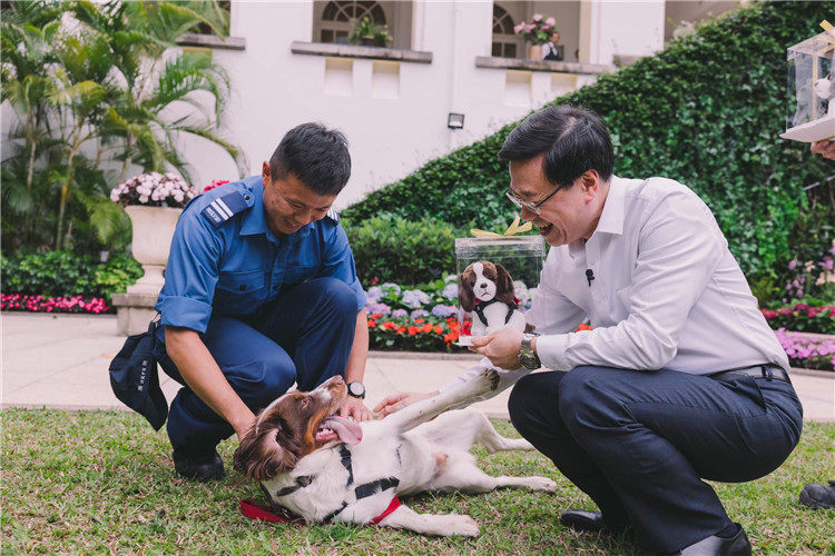 ��ҳ������롱������������Ѿ�Ȯ�Ա��������ھ��������еĸ�������ҳ��罻ƽ̨��ͼ