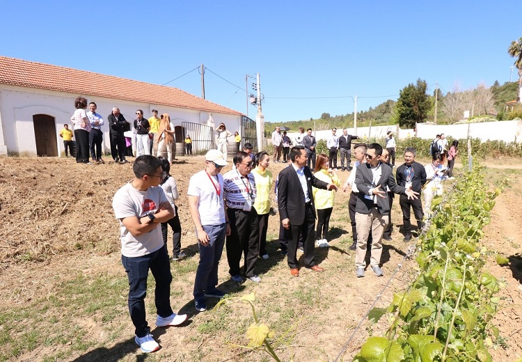 �����Ųι۰�����ҵ��������Ͷ�ʵľ�ׯ��Ŀ������ó��Ͷ�ʴٽ��ֹ�ͼ��