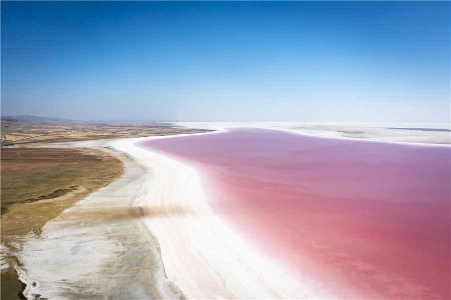 �����䰲�����κ�ɫ�ʰ���