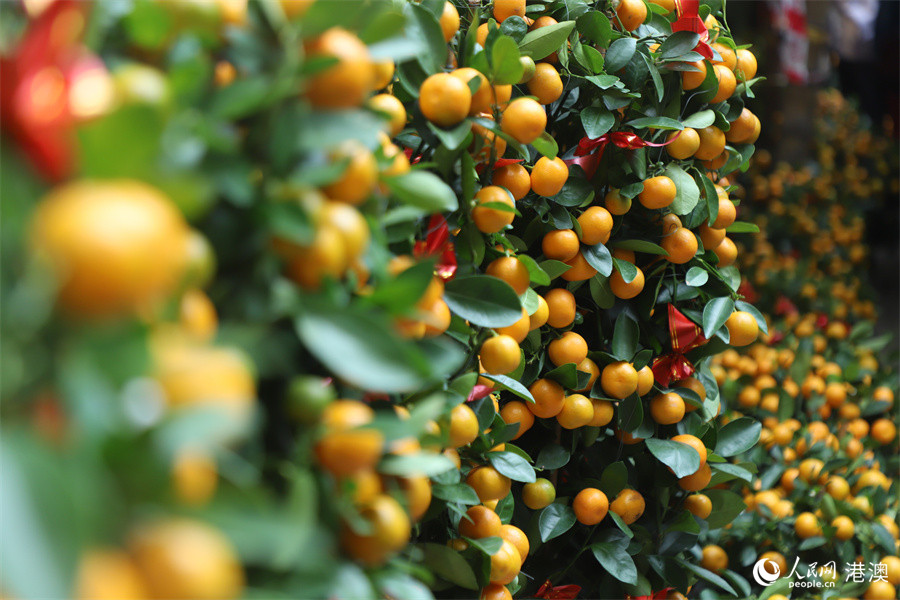 �����󼪴�������������ǻ��аڷš�ʵϰ�������� ��