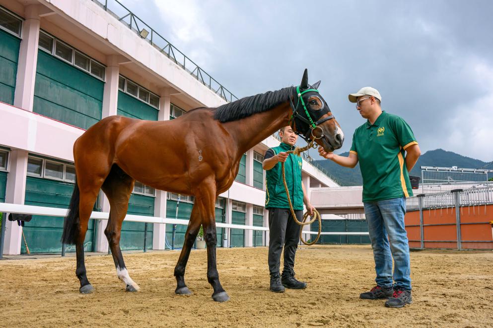 ����־�롰�l֮���ӡ���һ��