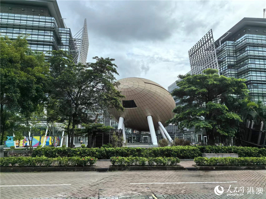 ��ۿ�ѧ԰���𵰡����������������ġ������� �����