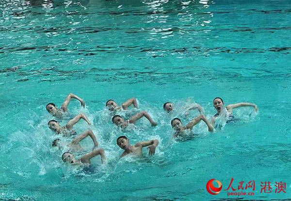 2024����÷������Ӿ��Ӣ���ݡ����������� ����÷��