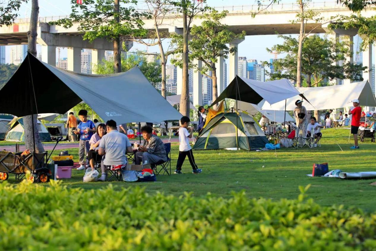 ͼΪ���ٻ���¶Ӫ����������Ȼ��̬����������������Ⱥ��������÷�չ�ֹ�ͼ