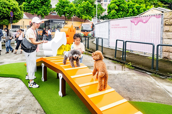 �����Ƭ�������⡰�����������������췽��ͼ