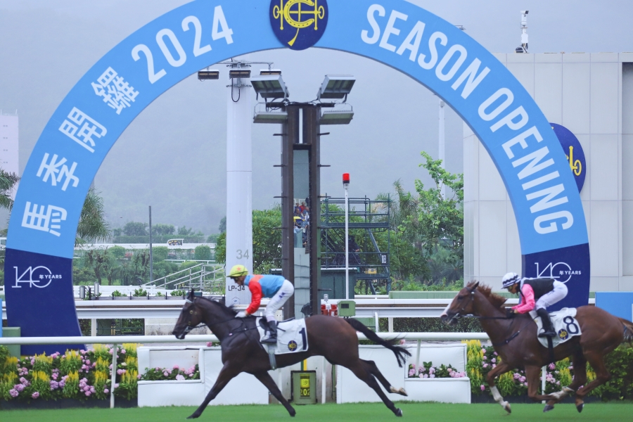 ���վ��н������¡���������������ٱ����������� ����������