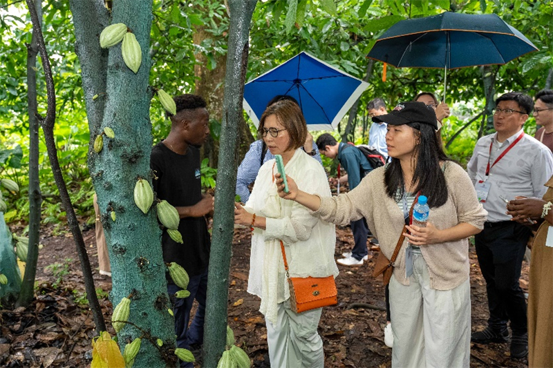 图为中国企业家考察赤道几内亚有关项目。澳门特区招商投资促进局供图