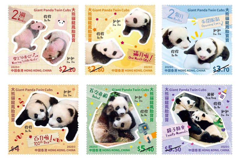 图.香港邮政发行“大熊猫龙凤胎宝宝”特别邮票。主办方供图