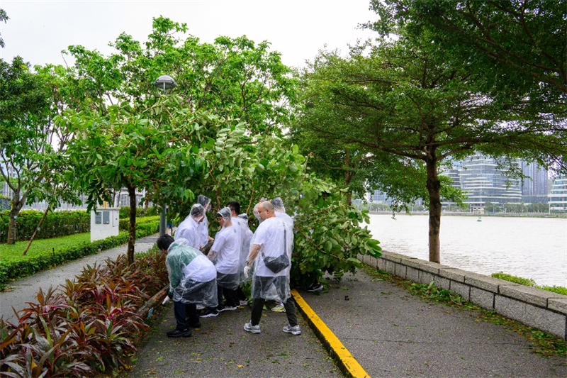 图为公共部门风后支援队移除被吹倒的树木。澳门特区新闻局供图