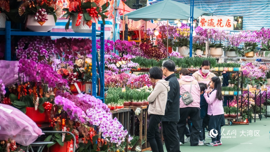 市民驻足挑选年花。人民网 吴宇扬扬摄