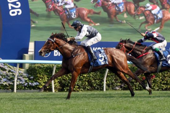 香港赛马打吡大赛“白鹭金刚”夺冠 观众人数创新高