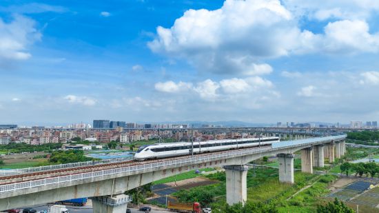 　　29日，广州东环城际列车行驶在白沙特大桥上。（中铁二十五局供图）