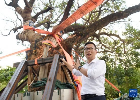 10月14日，中国建筑社区应急义工队常务副总指挥陈恒镔介绍施工情况。新华社记者 陈铎 摄