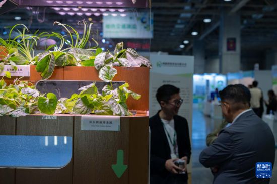 3月26日，与会者在澳门国际环保合作发展论坛及展览上。新华社发（张金加摄）